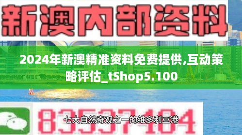 新澳2024正版资料,精选解释解析落实