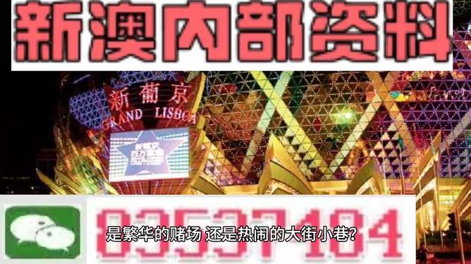 澳门最精准免费资料大全旅游团,综合研究解释落实